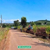 1000M2 - Tận 200M Thổ - Chỉ 650 Triệu Lâm Hà - Lâm Đồng