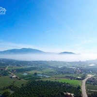 1000M2 - Tận 200M Thổ - Chỉ 650 Triệu Lâm Hà - Lâm Đồng
