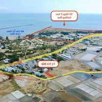 Bán Đất Cách Đường 702 Chỉ 70M, Đi Bộ Ra Biển Chỉ 5'' Thích Hợp Làm Homestay Hoặc Kinh Doanh