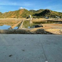 Bán Đất Cách Đường 702 Chỉ 70M, Đi Bộ Ra Biển Chỉ 5'' Thích Hợp Làm Homestay Hoặc Kinh Doanh