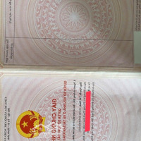 Đất Nền Sát Đường Bộ Ven Biển Và Khu Công Nghiệp Vsip Hải Long