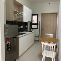Cho Thuê Căn Hộ 48M2 Chung Cư Topaz Twins P.thống Nhất Biên Hòa Ful Nội Thất Giá Bán 8 Triệu 0933722992