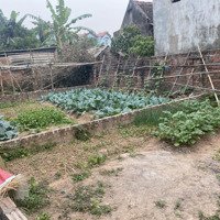 Bán Nhanh 58M2 Đất Giao Tất Ạ, Kim Sơn Giá Nhỉnh 2 Tỷ