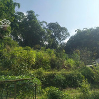 Bán Đất Thạch Yên -Cao Phong - Hoà Bình Chỉ Nhỉnh 260 Triệu . Sở Hữu Ngay : 5600M2 Sổ Đỏ