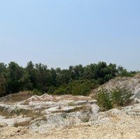Cần Bán Gấp 6,8Ha Đất Cln Cam Phúc Bắc, Cam Ranh Giá Rẻ