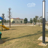 Lô Biệt Thự Khu Đô Thị Diện Tích 210M2 Mặt Tiền 10M Sẵn Sổ Đỏ Cách Ngã Tư Sở Hà Nội 35Km Chỉ 19. 5 Triệu