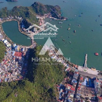 Siêu Phẩm Mặt Tiền Kinh Doanh. Vị Trí: Đắc Địa Trung Tâm Thị Trấn Cát Bà