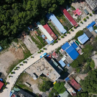 Siêu Phẩm Mặt Tiền Kinh Doanh. Vị Trí: Đắc Địa Trung Tâm Thị Trấn Cát Bà