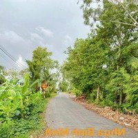 Nền Thổ Cư Giá Thu Hồi Vốn Thương Lượng Mạnh