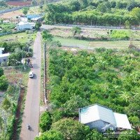 Bán Đất Tại Đường Số 55, Xã Long Phước, Bà Rịa, Bà Rịa Vũng Tàu, Giá Tốt, 20600M2