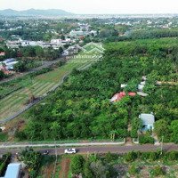Bán Đất Tại Đường Số 55, Xã Long Phước, Bà Rịa, Bà Rịa Vũng Tàu, Giá Tốt, 20600M2