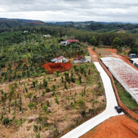 Bán 21060M2 Cln Ngay Quốc Lộ 14 Gần Nút Giao Cao Tốc, Đã Làm Đường Betong Ô Tô Vô Tận Nơi