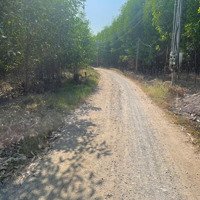 Lô Đất Đẹp 3 Mặt Tiền Giá Đầu Tư Tại Xã Tân An Đường Cộ Cây Xoài Vĩnh Cửu Đồng Nai