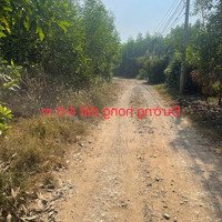 Lô Đất Đẹp 3 Mặt Tiền Giá Đầu Tư Tại Xã Tân An Đường Cộ Cây Xoài Vĩnh Cửu Đồng Nai