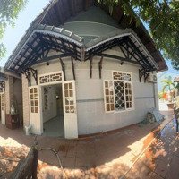 Cho Thuê Nhà Góc 2 Mặt Tiền Cẩm An, Hội An Phù Hợp Kinh Doanh Và Để Ở ( Tp Hội An )