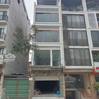 Cho Thuê Vp Đối Diện Trường Phenikaa, Gần Đại Học Công Nghiệp Nhổn, Dự Án Wisteria Hinode Và Hateco