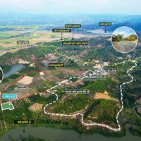Đạ Tẻh- Lâm Đồng Diện Tích 400M2 Sẵn 100M2 Thổ Cư Full Sầu Riêng Năm Thứ 4 Đủ Điện Nước Tưới Tiêu