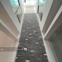 Giảm Mạnh Từ 19 Tỷ Xuống 16 Tỷ Tlhẽm Xe Hơihoa Lan - Phan Xích Long - Dt: 4.2X23M (Cn ~90M2 - 5 Tầng)