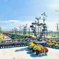 Hàng Tết Vịnh An Hoà Đón Xuân Sát Ngay Mặt Vịnh Giá Chỉ 1Tỷ4Xx Sổ Sẵn Sinh Lợi Nhuận Cao