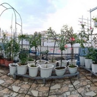 Bán Nhà Tân Bình - Âu Cơ Giáp Quận 11 - 68M2 - Gần Mặt Tiền - Đường 6M - 5 Tầng - Chỉ 9Tỷ2