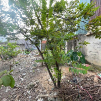 Đất 139M Ngang 5.1M Shr Gần Ngã Tư Chiêu Liêu P. Tân Đông Hiệp Tp. Dĩ An