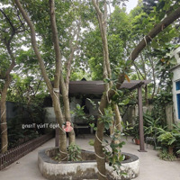 Bán Bt Việt Hưng Kinh Doanh Vp, Công Ty 310M Lưu Ko 200M Giá Bán 75 Tỷ
