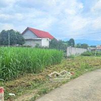 Bán Đất Tại Xã Diên Phước, Diên Khánh, Khánh Hòa, 597 Triệu, 119.3M2, Hot!