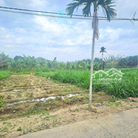 Bán Đất Tại Xã Diên Phước, Diên Khánh, Khánh Hòa, 597 Triệu, 119.3M2, Hot!
