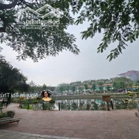 Cơ Hội Sở Mảnh Đất Vàng - Trịnh Công Sơn, Tây Hồ - 62M Mặt Tiền 6,1M, Giá Nhỉnh 17 Tỷ