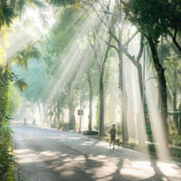Đầu Tư Cảm Xúc Gia Tài Bền Vững
