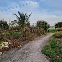 160M2 Thổ Cư, Đường Bê Tông. Gần Kcn. 490 Triệu. Rẻ
