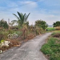 160M2 Thổ Cư, Đường Bê Tông. Gần Kcn. 490 Triệu. Rẻ