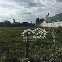Đất Diện Tích Lớn, Gần Trung Tâm Liên Nghĩa, Phù Hợp Nhu Cầu Nhà Vườn Hoặc Kho Bãi