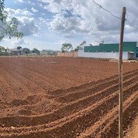 Đất Diện Tích Lớn, Gần Trung Tâm Liên Nghĩa, Phù Hợp Nhu Cầu Nhà Vườn Hoặc Kho Bãi