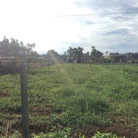 Đất Diện Tích Lớn, Gần Trung Tâm Liên Nghĩa, Phù Hợp Nhu Cầu Nhà Vườn Hoặc Kho Bãi