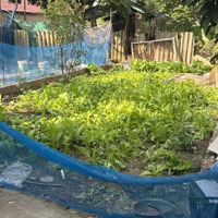 Lô Đất 50M2 Đồng Mai -Mặt Tiềnrộng 4,7M - Hơn 2 Tỷ