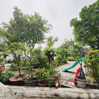 Nhà 4 Tầng Hẻm Xe Hơi Q8 - View Công Viên - 4X15 - Nhỉnh 6 Tỷ - Liên Hệ: 0909547485