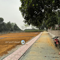 Bán Đất Nam Phương Tiến, Chương Mỹ, Hà Nội, 100M2, Sổ Đỏ Chính Chủ Giá Chỉ 1,25 Tỷ