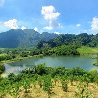 5,1 Ha Bám Hồ, Bám Đường Nhựa To Xe Cont Tránh Tại Lạc Thủy, Hòa Bình