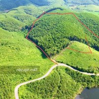 5,1 Ha Bám Hồ, Bám Đường Nhựa To Xe Cont Tránh Tại Lạc Thủy, Hòa Bình
