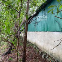 Cho Thuê Kho, Nhà Xưởng Tại Thị Trấn Ba Đồn, Quảng Trạch, Quảng Bình, 25 Triệu, 5000M2