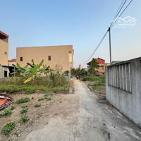 Hàng Hiếm 65,7M Đất Ở Phi Liệt - Liên Nghĩa - Văn Giang - Hưng Yên