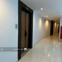 Bán Căn Penthouse Duplex 230M Tại Mipec Long Biên, Với View Sông Hồng Tuyệt Đẹp.