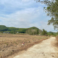Bán Đất 550M Quy Hoạch Thổ Cư Gần Chợ Trường Xã Diên Tân, Diên Khánh Giá Bán 395 Triệu Liên Hệ: 0788.558.552