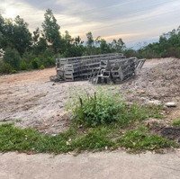 Bán Đất Cây Lâu Năm Hòa Thọ Tây, Cẩm Lệ 4850M2 Gần Nhà Dân Ở