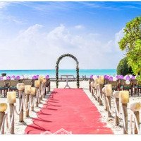 Cần Sang Nhượng Quỹ Đất Lớn Trung Tâm Biển Đẹp Bậc Nhất Tp Tuy Hoà, Phú Yên - 23.000M2 - Mặt Biển