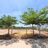 Đất Đẹp, Chính Chủ, Gần Nhà Hàng Nam Giang Thống Nhất