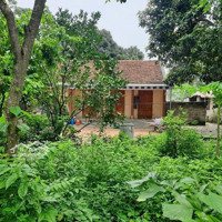 Bán Đất 527M2 Tại Xã Mỹ Lương, Chương Mỹ, Hà Nội, 4,6 Tỷ