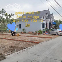 Tài Chính Nhô 1Tỷ Tìm Đất Trung Tâm Siêu Phẩm Phường Thiên Hương -Thủy Nguyên -Hải Phòng