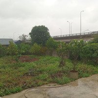 Cho Thuê Mặt Bằng, Có Sẵn Nhà Cấp 4
